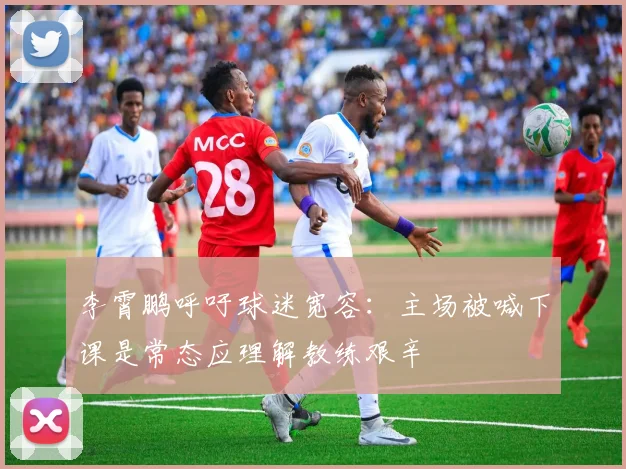 李霄鹏呼吁球迷宽容：主场被喊下课是常态应理解教练艰辛