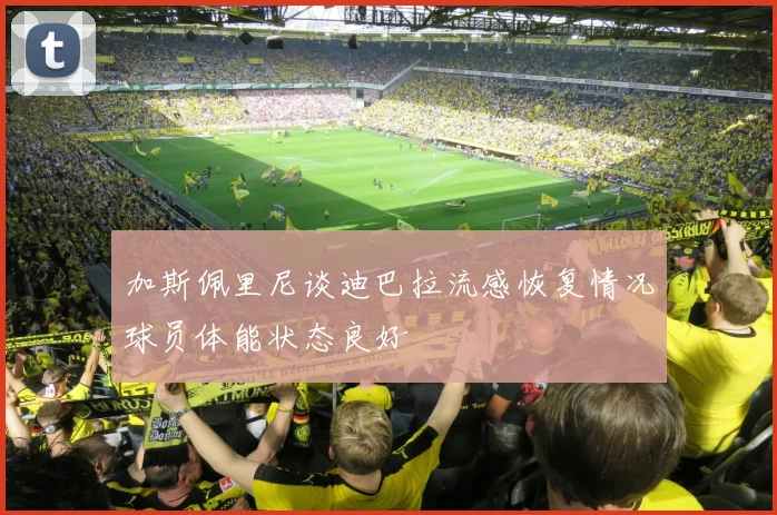 加斯佩里尼谈迪巴拉流感恢复情况球员体能状态良好