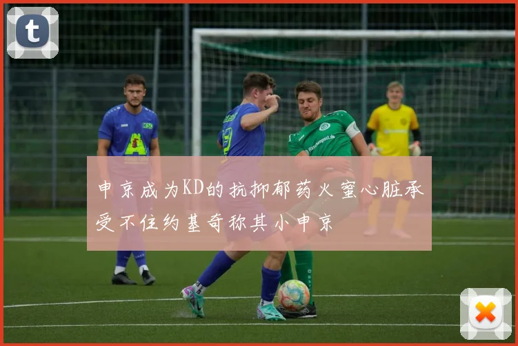 申京成为KD的抗抑郁药火蜜心脏承受不住约基奇称其小申京