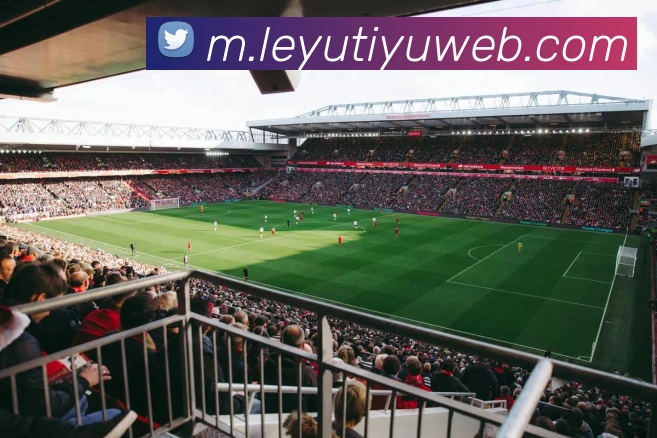 乐鱼体育品牌故事