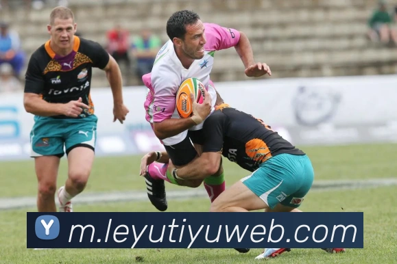 乐鱼体育服务体系