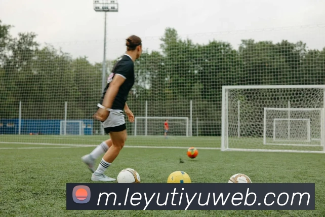 乐鱼体育APP 体育赛事宣传图